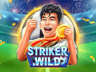 Striker Wild screenshot