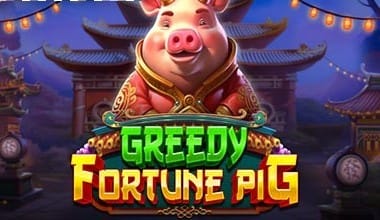 Greedy Fortune Pig