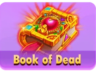 Book Of Dead screenshot